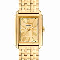 Fossil Fossil Carraway FS6009  FS6009 кварцевые мужские часы  золотой циферблат, браслет нержавеющая сталь с ip-покрытием — вид спереди
