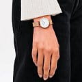 Оригинальные часы Daniel Wellington Daniel Wellington Petite Roman Numerals DW00100681 кварцевые калибр механизма  общий вид