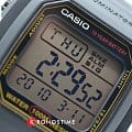 Casio Casio Collection W-800HG-9AVDF (W-800HG-9A) illuminator японские мужские часы на браслете пластик боковой вид