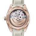 Omega Omega Seamaster Aqua Terra 220.52.41.21.02.001 Aqua Terra наручные мужские часы фото под углом.
