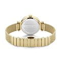 Оригинальные часы Cerruti 1881 Cerruti 1881 Cerrisi CIWLG0008702 кварцевые калибр механизма  общий вид