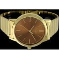 Casio Casio LTP-E118G-5AEF кварцевые женские часы часы, крупный план коричневый циферблат
