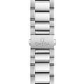 Omega Omega Seamaster Aqua Terra 220.10.41.21.10.001 seamaster швейцарские мужские часы на браслете нержавеющая сталь боковой вид