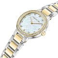 Cerruti 1881 Cerruti 1881 Bellegra CIWLG0043701  наручные женские часы фото под углом.