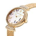 Cerruti 1881 Cerruti 1881 Cerrisi CIWLG0008702  французские женские часы на браслете нержавеющая сталь с ip-покрытием боковой вид
