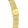 Festina Festina Swiss Made F20077/3  испанские женские часы на браслете нержавеющая сталь с ip-покрытием боковой вид