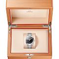Omega Omega Seamaster Aqua Terra 220.10.41.21.01.002 Aqua Terra — задняя крышка металл сталь корпуса швейцарские часы