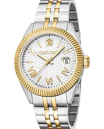 Roberto Cavalli Uomo Classico III RC5G113M0075