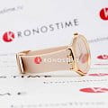 Оригинальные часы Swatch Swatch Skin Irony SYXG101 кварцевые калибр механизма  общий вид
