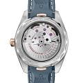 Omega Omega Seamaster Aqua Terra 220.22.41.21.03.001 Aqua Terra наручные мужские часы фото под углом.