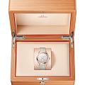 Omega Omega Seamaster Aqua Terra 220.52.41.21.02.001 мужские часы серебристый циферблат на запястье