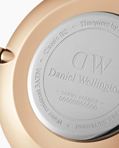 Daniel Wellington Petite Ashfield DW00100307