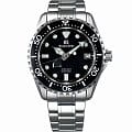 Seiko Seiko Grand Seiko SBGA231G  SBGA231G механические мужские часы  черный циферблат, браслет  — вид спереди