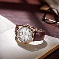 Оригинальные часы Citizen Citizen Eco-Drive CB0253-19A кварцевые калибр механизма citizen h145 общий вид