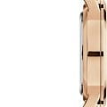 Оригинальные часы Daniel Wellington Daniel Wellington Iconic Link DW00100343 кварцевые калибр механизма  общий вид