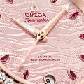 Omega Omega Seamaster Aqua Terra 220.28.34.20.60.001 seamaster швейцарские женские часы на браслете кожаный боковой вид