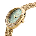 Оригинальные часы Cerruti 1881 Cerruti 1881 Nemi CIWLG0012501 кварцевые калибр механизма  общий вид